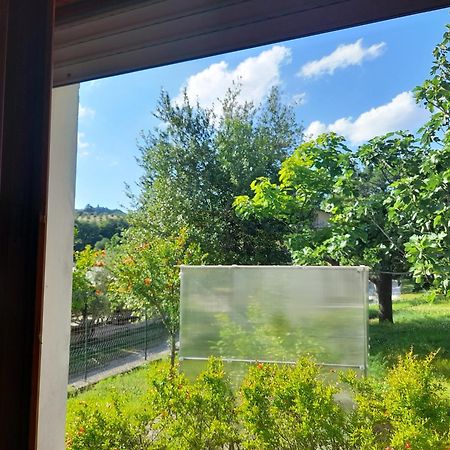 Camping Agriturist Sant'Anna Castelplanio الغرفة الصورة
