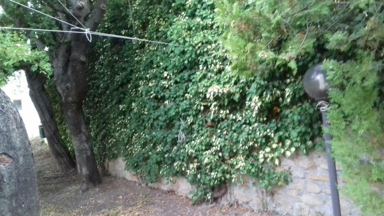 Camping Agriturist Sant'Anna Castelplanio المظهر الخارجي الصورة