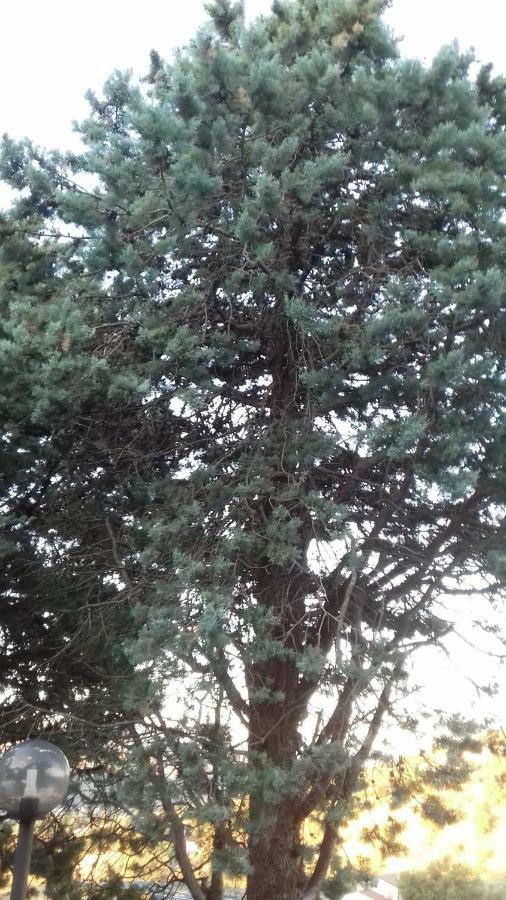 Camping Agriturist Sant'Anna Castelplanio المظهر الخارجي الصورة