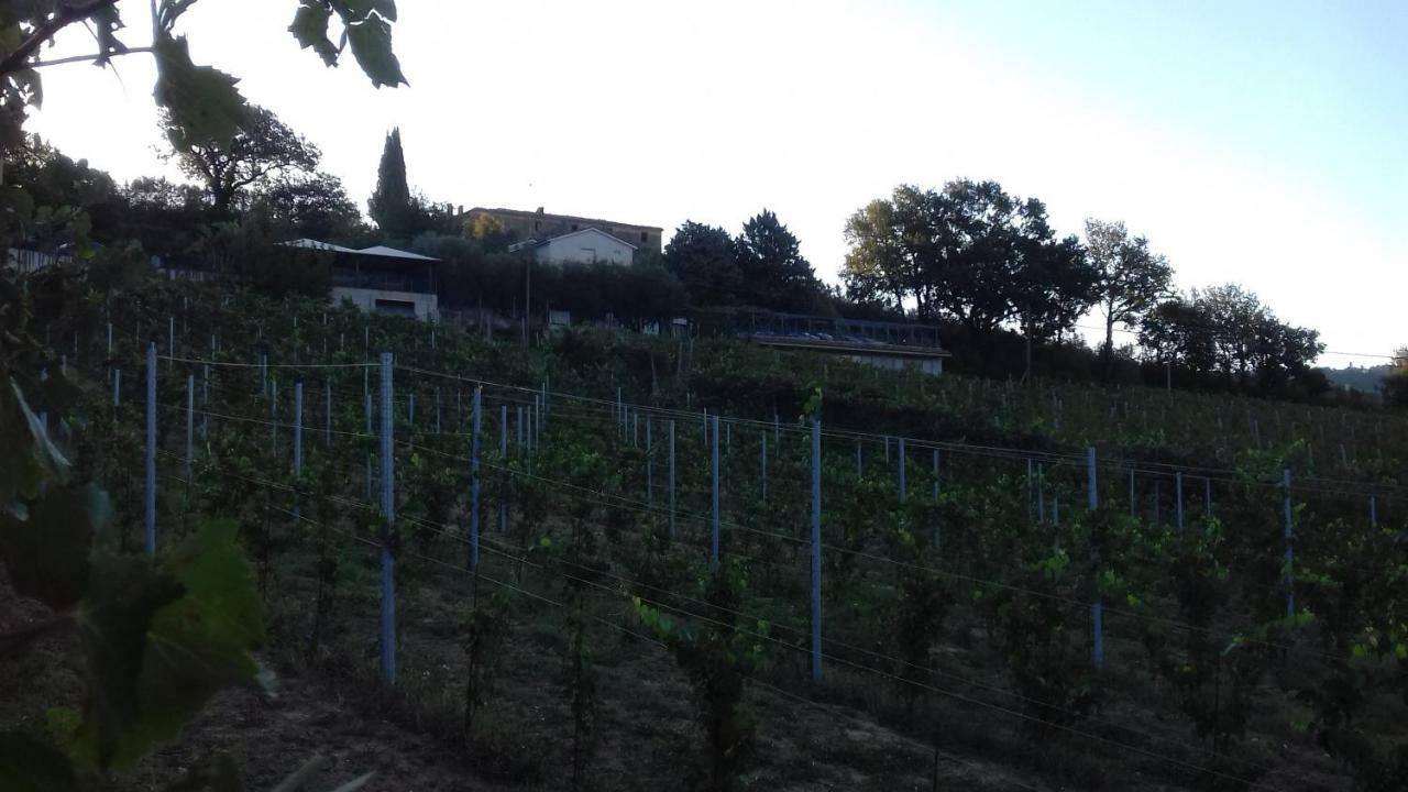 Camping Agriturist Sant'Anna Castelplanio المظهر الخارجي الصورة